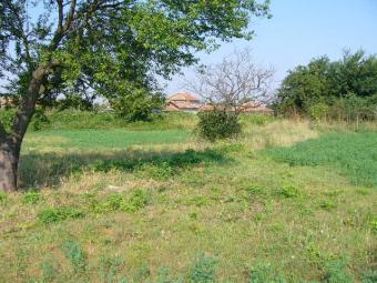 2000m2 land Sinapovo